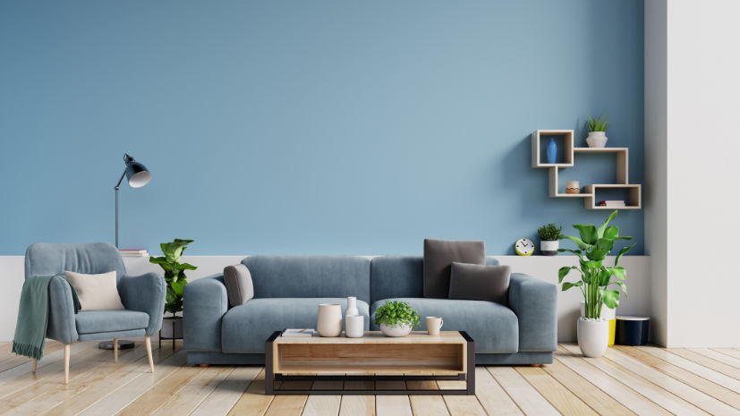 interior-bright-living-room-with-pillows-sofa-armchair-plants-lamp-empty-blue-wall-background